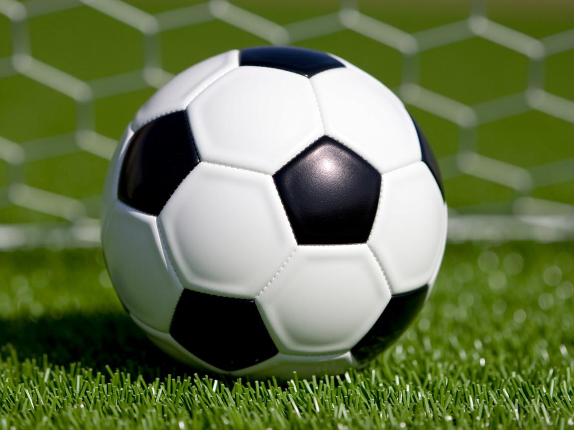 九游娱乐下载-“武汉马拉松:全球跑步者决战赛道,谁将封王?” 第2张