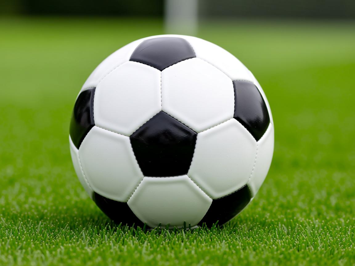 九游官网入口活动-“武汉马拉松：冲刺瞬间，赛场爆发速度激情！”  第3张