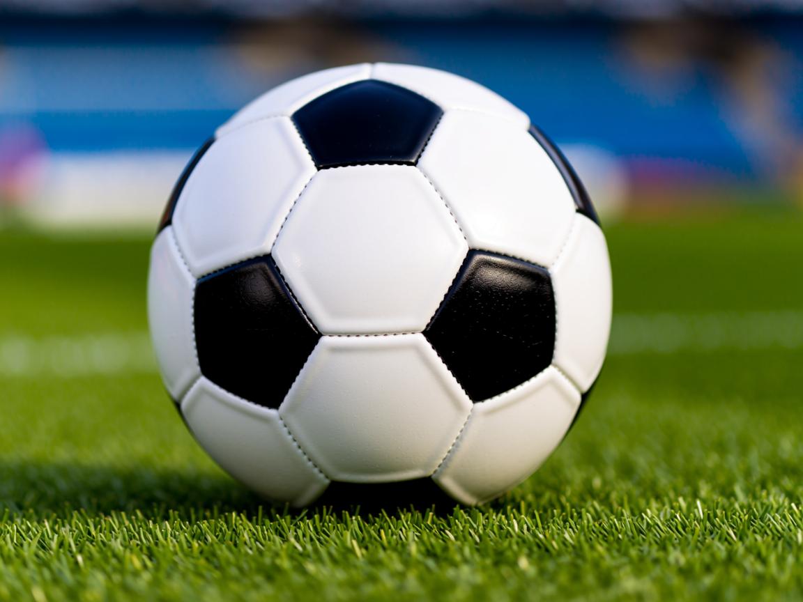 九游.中国官网-外线球员在快节奏中如何选择持球节奏方式，外线球员dpoy